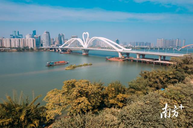鹅城大桥 鹅城大桥