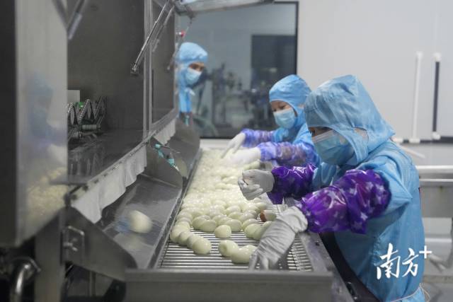 广东省领鲜食品科技有限公司 广东省领鲜食品科技有限公司