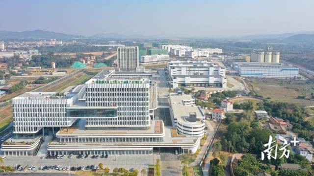 大湾区农产品基地 大湾区农产品基地