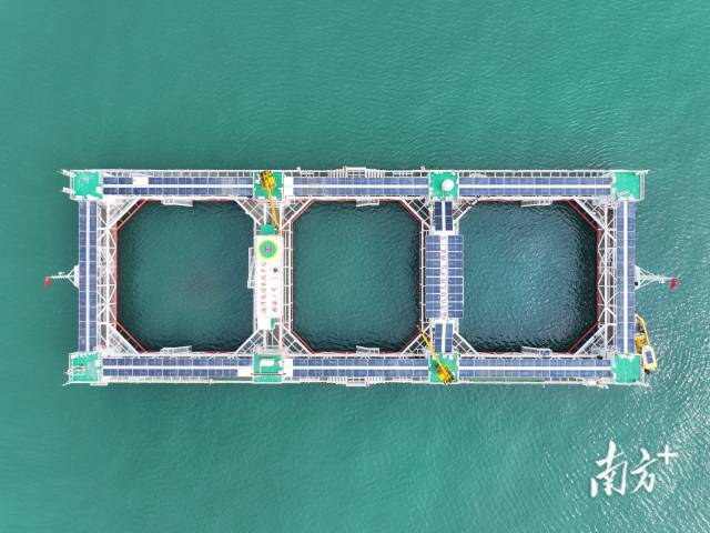空中俯瞰“格盛一号”海洋牧场。 空中俯瞰“格盛一号”海洋牧场。