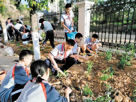 棠下初级中学学生在“百草园”种植中草药。