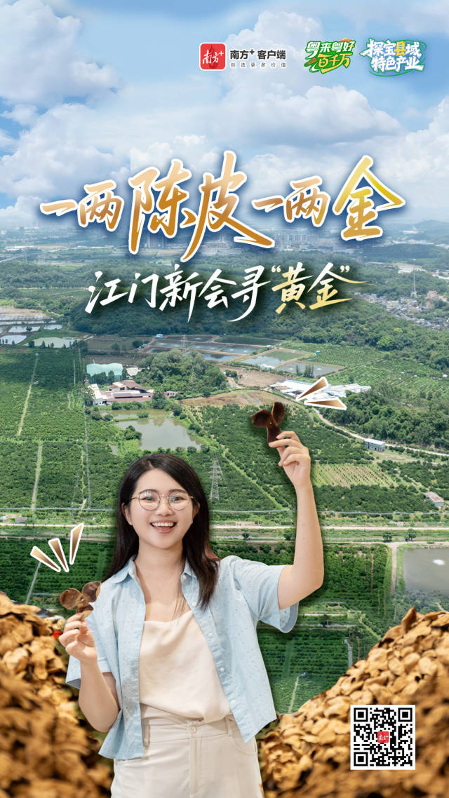 产值近280亿元,江门新会陈皮为何贵如“黄金”? 产值近280亿元,江门新会陈皮为何贵如“黄金”?