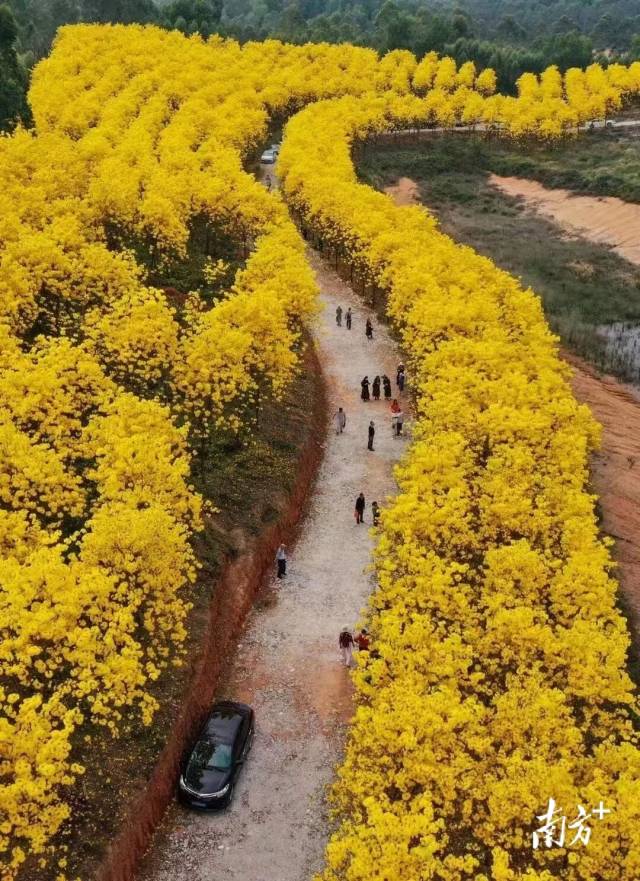 高要白土金龙水库。 高要广电网络 供图