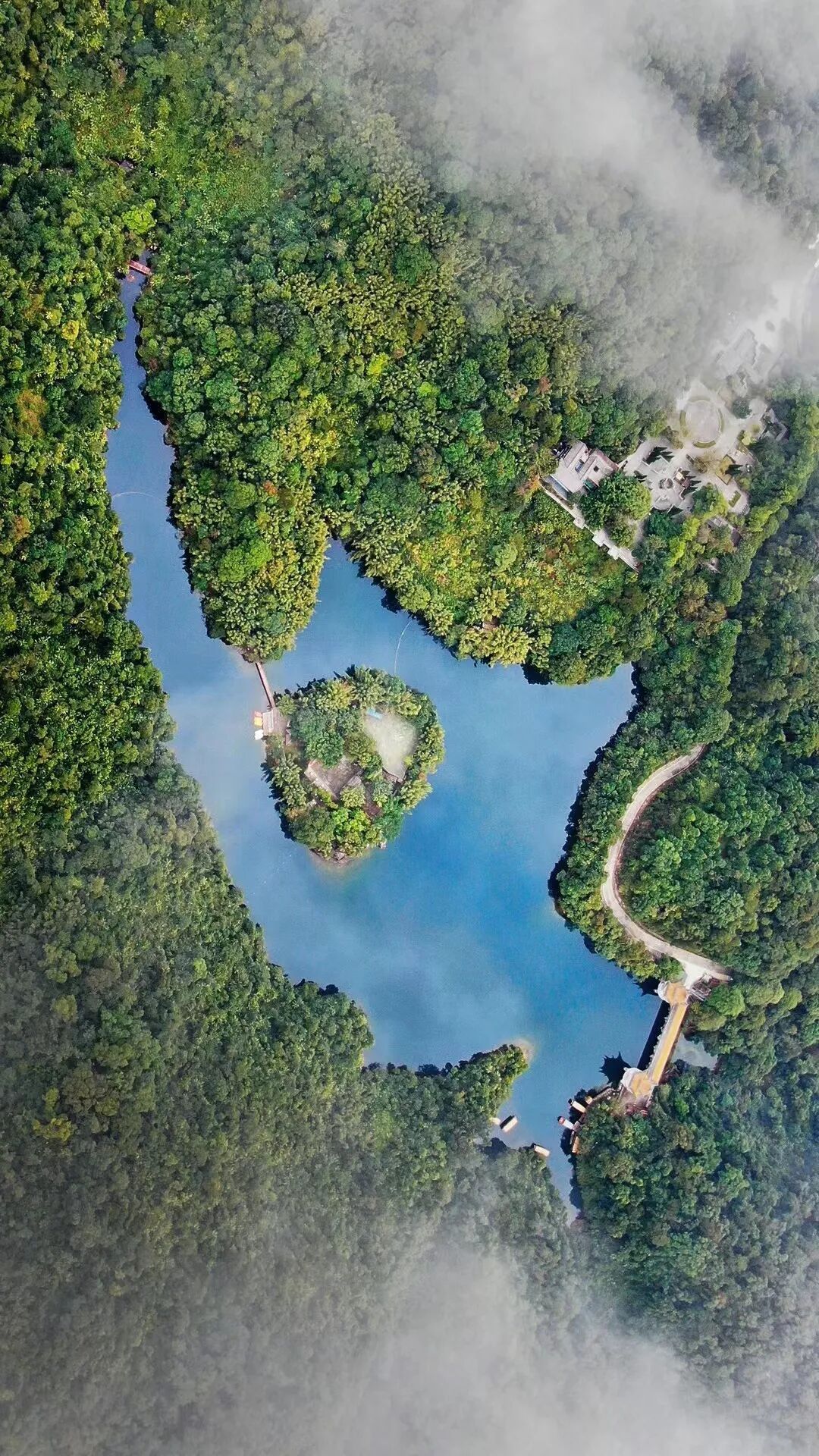 “70岁”的鼎湖山 “70岁”的鼎湖山