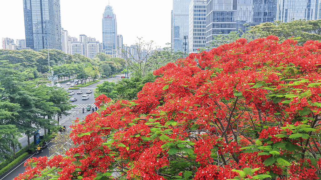 未来5年,城市、乡村、河湖要更美丽 未来5年,城市、乡村、河湖要更美丽