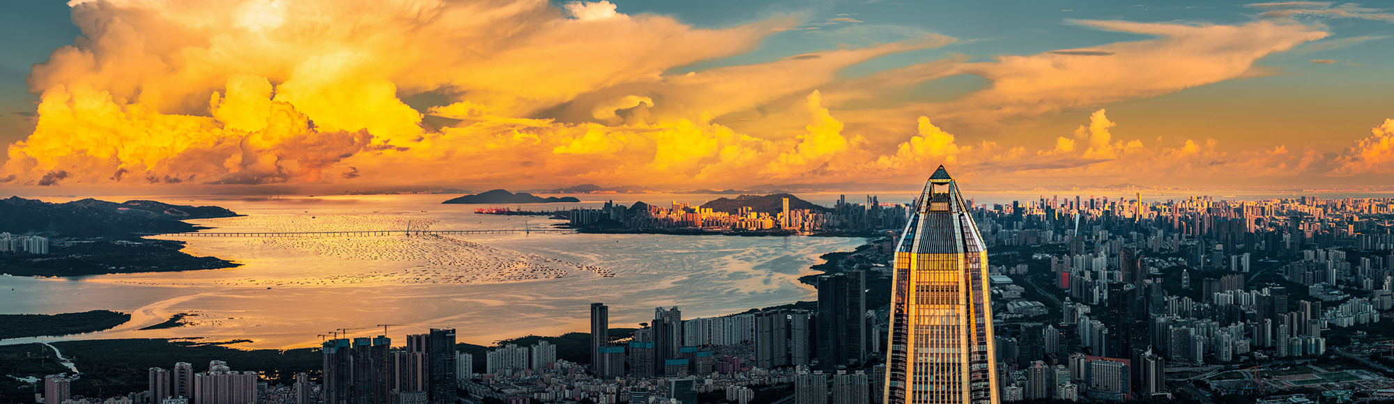 深圳，何以奇迹