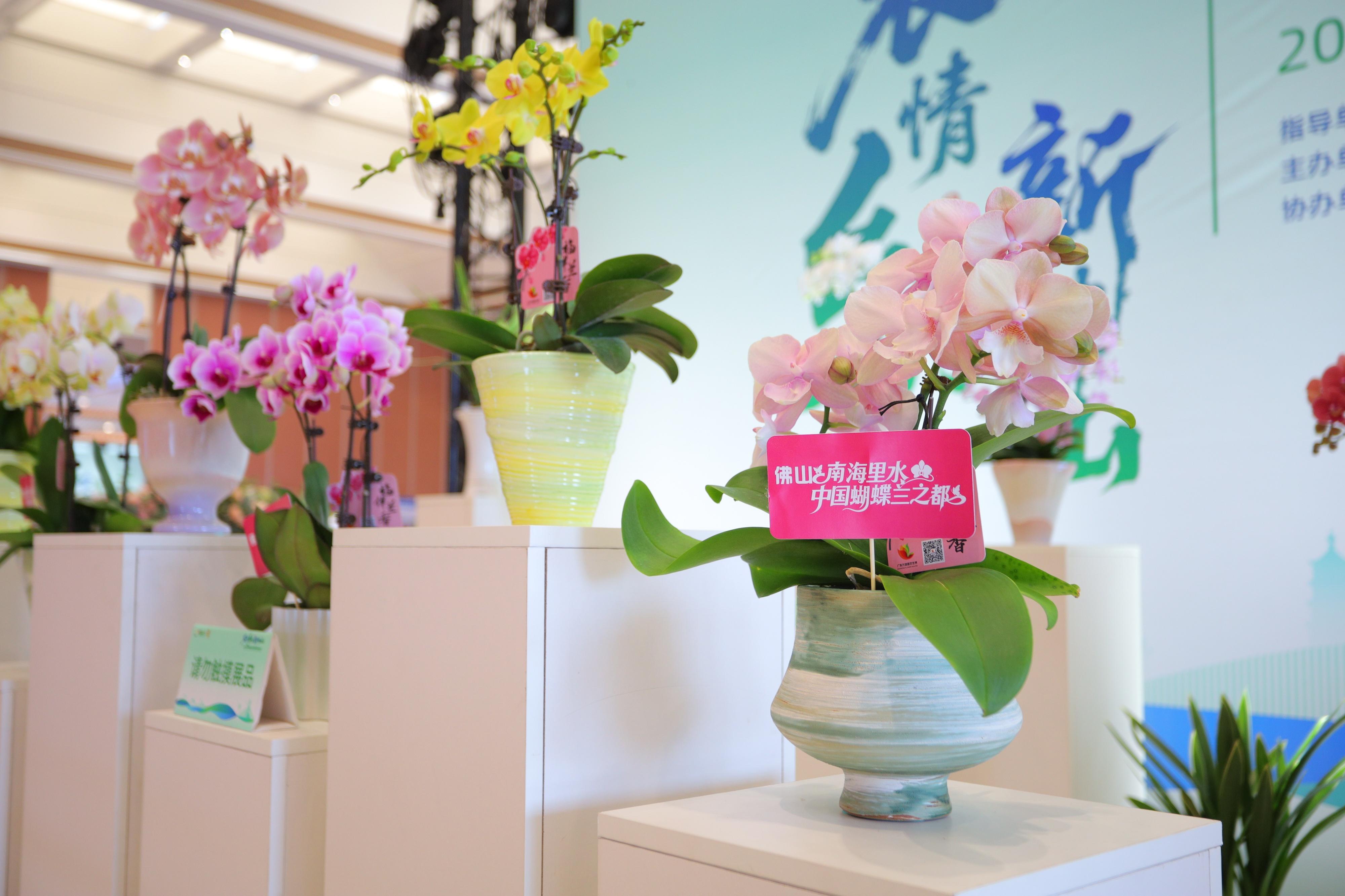 一条鱼、一枝花、一盆菜，佛山现代农业跑出500亿元产值
